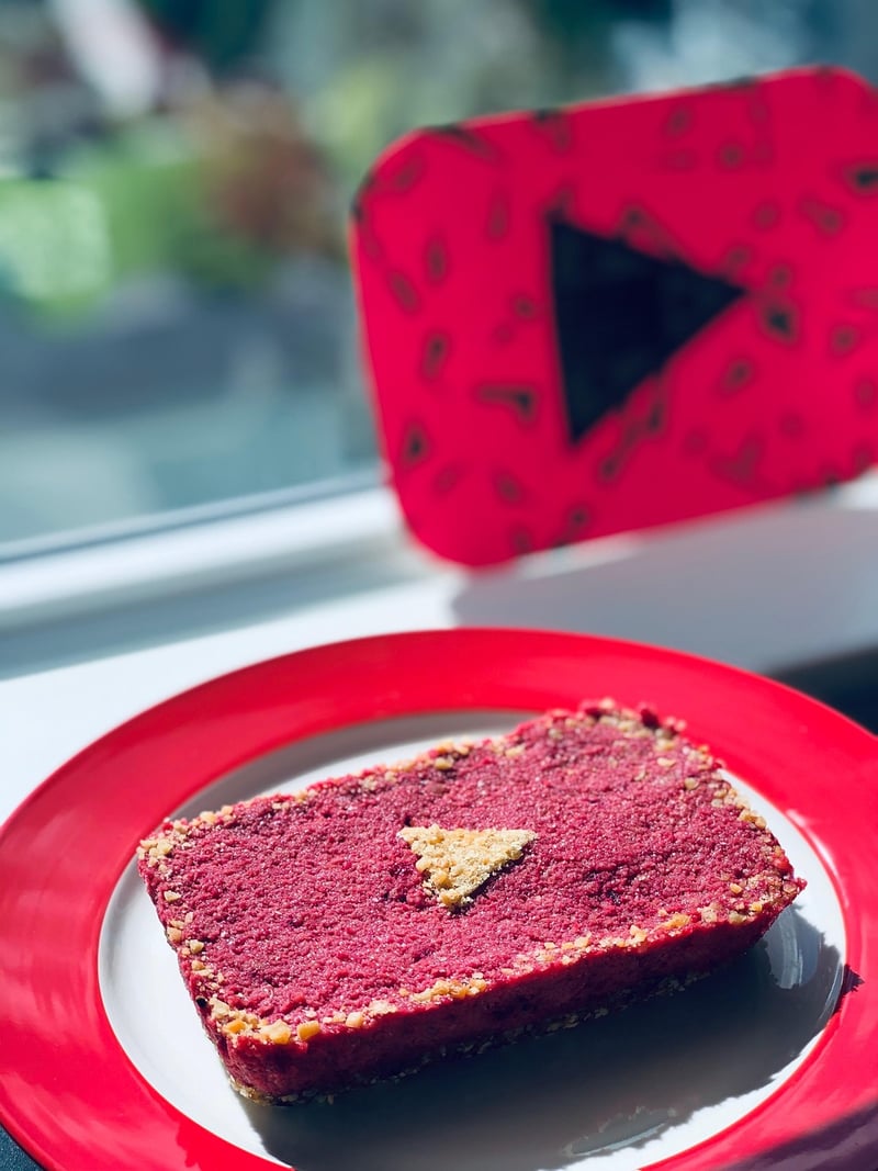 Social Media Influencer